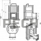 Дровяная печь для бани Эверест INOX 25 (280) Ковка